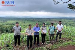Kiểm sát chặt chẽ việc cưỡng chế kê biên tài sản thi hành án dân sự ở Gia Lai