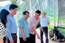 Đo&agrave;n gi&aacute;m s&aacute;t số 1 của Thường trực HĐND tỉnh l&agrave;m việc tại x&atilde; Anh Sơn