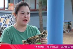 Bánh đa Kỳ Xuân theo chân du khách về Hà Nội