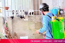 Phát hiện ổ dịch sốt xuất huyết ở xã Kỳ Hoa với 5 người mắc bệnh