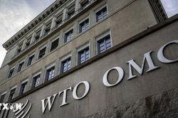 Cải cách WTO bế tắc do chưa thống nhất phạm vi đàm phán