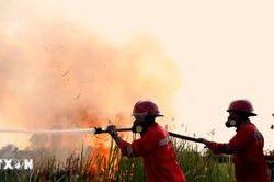 Indonesia nỗ lực khống chế cháy rừng tại Vườn Quốc gia Núi Bromo