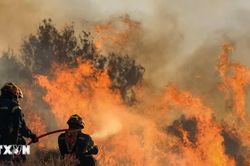 Hy Lạp tạm giam một thị trưởng tình nghi gây thảm họa cháy rừng