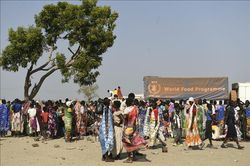 LHQ cảnh báo nguy cơ nạn đói nghiêm trọng với hơn một nửa dân số Nam Sudan