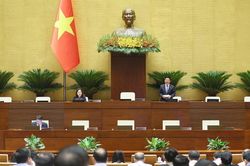 Quốc hội thảo luận Luật sửa đổi, bổ sung một số điều của 10 luật có liên quan đến nông nghiệp và môi trường
