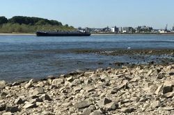 Hạn hán kéo dài đe dọa 'động mạch kinh tế' của châu Âu