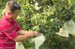 Điểm tựa giảm ngh&egrave;o cho người d&acirc;n v&ugrave;ng cao