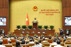Thời sự 24h qua ảnh chiều 7/8