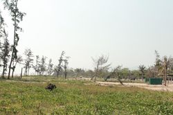 Nhiều dự án 'treo' tại khu du lịch biển: Nơi bỏ hoang, nơi đầu tư thì bị vướng