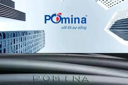 Sau cú 'bắt tay' lịch sử, Pomina phải trả hàng nghìn tỷ đồng cho Vingroup