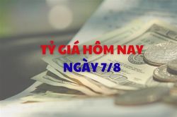 Tỷ giá hôm nay 7/8: Tỷ giá trung tâm tăng 125 đồng chỉ trong một tuần