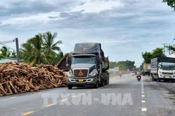 Cận cảnh 'kho gỗ' lấn chiếm hành lang Quốc lộ 22B