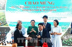 Du lịch miệt vườn Vĩnh Long thu hút đối tác Hàn Quốc