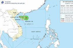 Từ Quảng Ninh đến Quảng Trị chủ động ứng ph&oacute; với &aacute;p thấp nhiệt đới