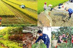 Hợp nhất 4 Chương trình mục tiêu quốc gia: Tăng phân cấp, khơi thông nguồn lực