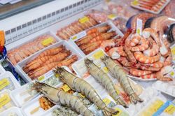 VIETFISH 2026 tiếp sức thủy sản Việt Nam chinh phục mục ti&ecirc;u xuất khẩu 12 tỷ USD