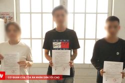 Triệt xóa tụ điểm ma túy trong chòi lá