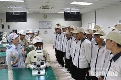 Chuẩn hóa đội ngũ người dạy nghề để nâng cao chất lượng đào tạo