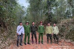 Chung tay giữ màu xanh của rừng