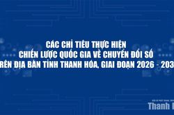 Các chỉ tiêu thực hiện Chiến lược quốc gia về chuyển đổi số trên địa bàn tỉnh Thanh Hóa, giai đoạn 2026 - 2030