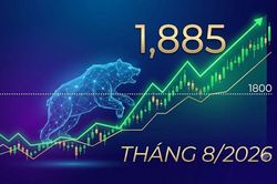 Thị trường chứng khoán tháng 8: Cơ hội quay lại xu hướng tăng, VN-Index có thể hướng tới 1.885 điểm