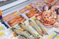 VASEP xây dựng ba kịch bản cho xuất khẩu thủy sản năm 2026