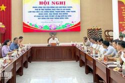 Phó Bí thư Thường trực Tỉnh ủy An Giang yêu cầu bảo đảm chất lượng cầu giao thông nông thôn