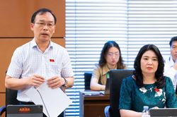 Đoàn đại biểu Quốc hội tỉnh Bắc Ninh góp ý Luật Phát triển đô thị và nhiều dự án luật