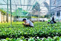 Đánh thức tiềm năng từ tầm nhìn chiến lược của Đảng (bài 3)