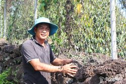 Bền bỉ bám đất để cây trồng thêm xanh