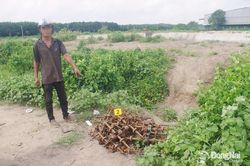 Tập trung đẩy lùi tội phạm trộm cắp tài sản