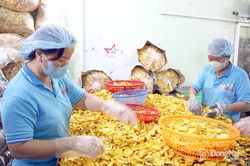 Chính sách hỗ trợ, khuyến khích doanh nghiệp tham gia hoạt động giáo dục nghề nghiệp