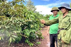 Dữ liệu sản xuất: Chìa khóa nâng cao sức cạnh tranh cho nông sản