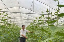 Đẩy mạnh ph&aacute;t triển c&ocirc;ng nghệ sinh học - Kỳ 2: Khi c&ocirc;ng nghệ sinh học tạo gi&aacute; trị từ sản xuất