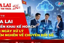 Điểm tin trưa: Gia Lai triển khai kế hoạch 100 ngày xử lý điểm nghẽn về chuyển đổi số