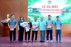 Lễ ra mắt chi, tổ hội nông dân nghề nghiệp phường Tân Phong