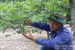 Thúc đẩy tăng trưởng nông nghiệp