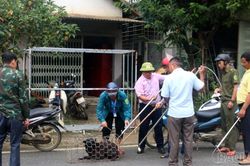 Bắc Hà siết chặt quản lý vật nuôi