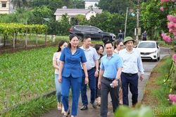 Đoàn công tác Ban Tuyên giáo và Dân vận Tỉnh ủy khảo sát các mô hình 'Dân vận khéo' tại xã Gia Phú