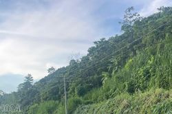 Hoàn thành việc mở lối đi tạm qua điểm sạt lở trên Tỉnh lộ 161