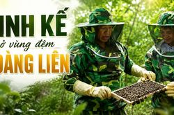 Sinh kế ở vùng đệm Hoàng Liên