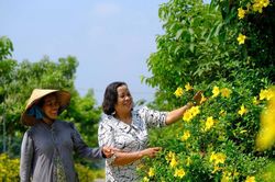 Trên chặng đường xây dựng nông thôn mới