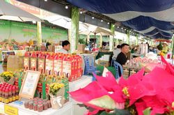 OCOP - từ đạt chuẩn đến chinh phục thị trường