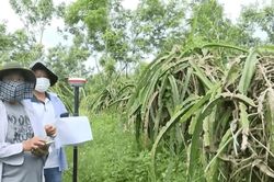 Đẩy nhanh giải phóng mặt bằng tuyến đường kết nối cao tốc
