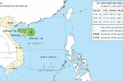 &Aacute;p thấp nhiệt đới tr&ecirc;n Biển Đ&ocirc;ng ng&agrave;y 07/08/2026: Vịnh Bắc Bộ gi&oacute; giật cấp 8, biển động