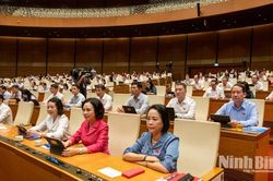 Đoàn ĐBQH tỉnh Ninh Bình góp ý hoàn thiện các dự án luật, bảo đảm phân quyền đi đôi với kiểm soát