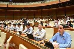 Đại biểu Quốc hội tỉnh Ninh B&igrave;nh đề nghị bổ sung cơ chế hậu kiểm, tr&aacute;ch nhiệm giải tr&igrave;nh đối với c&aacute;c dự &aacute;n phục vụ APEC 2027