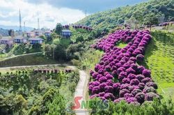 Đánh thức tiềm năng du lịch trên đèo Pha Đin