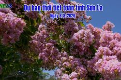 Dự báo thời tiết toàn tỉnh Sơn La ngày 8/8/2026