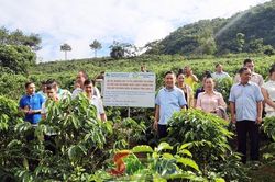 Số hóa vùng trồng cà phê Sơn La